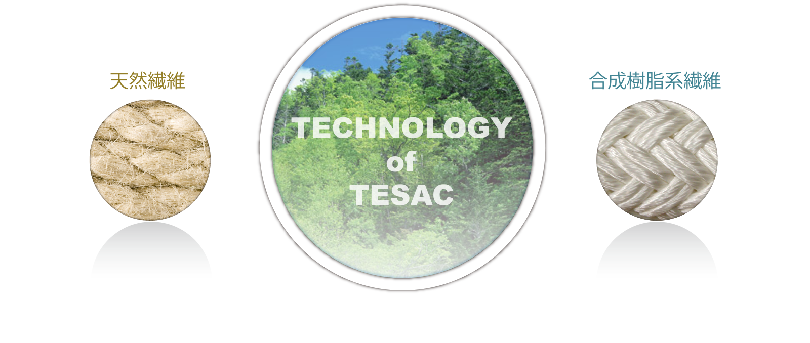 Technology of TESAC